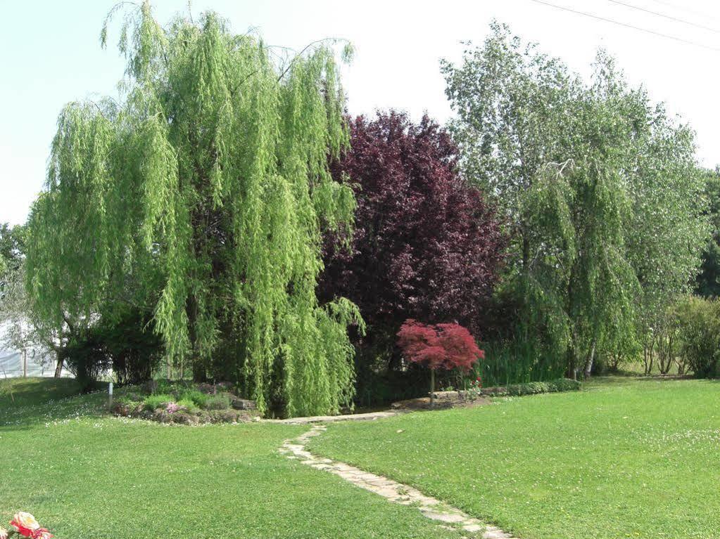 Il Vigneto Affittacamere Manerba del Garda Bagian luar foto