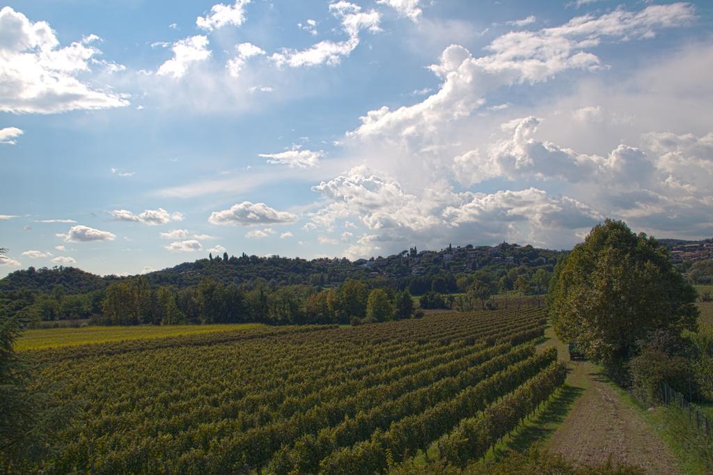 Il Vigneto Affittacamere Manerba del Garda Bagian luar foto